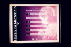 The Sounds in the Mother Womb Installation at the House of Music.