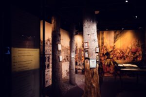 A room in the House of Music.