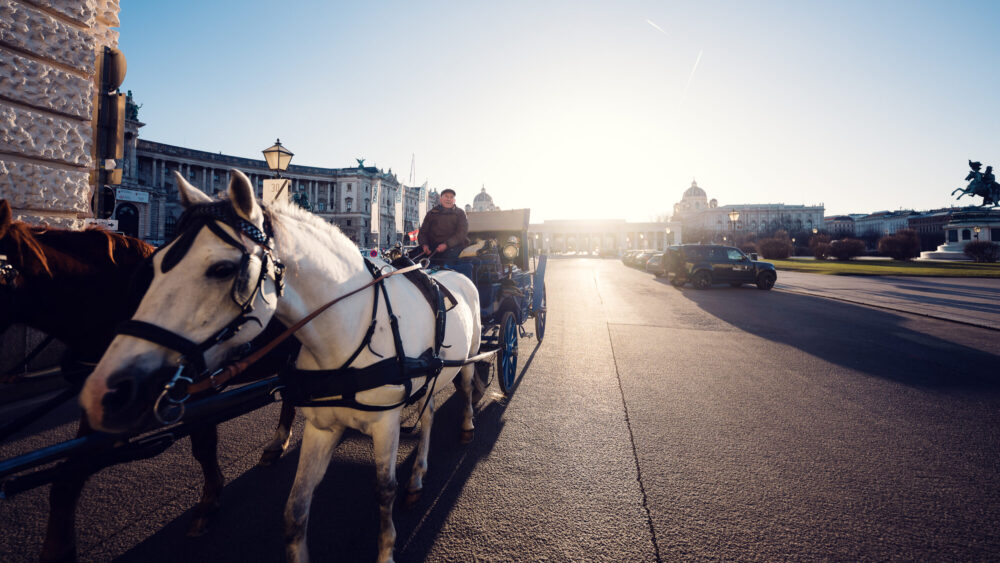 Traditional Viennese fiaker carriage in front of Heldenplatz, offering a classic city experience.