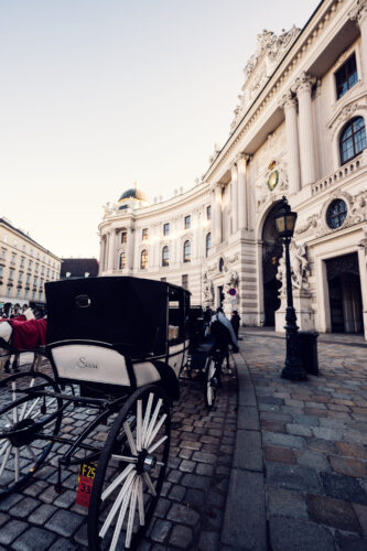 Traditional fiaker carriage in front of Hofburg Palace, offering a classic Viennese experience.