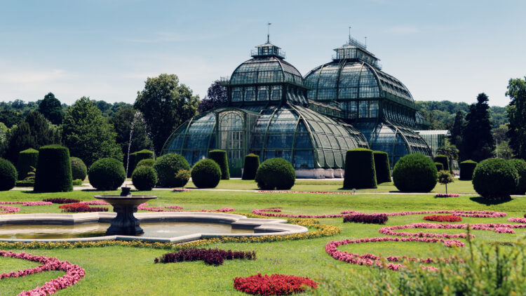 Palm House Schönbrunn - 3