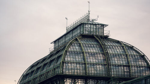 Palm House's ornate iron details against morning mist, revealing the intricate craftsmanship of this botanical masterpiece.