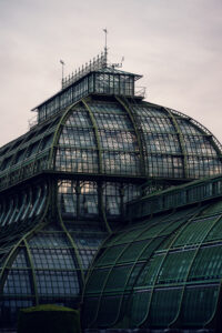 Dramatic perspective of the Palm House's curved glass roof, capturing the grandeur of Habsburg greenhouse architecture.
