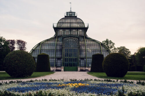 Entrance of Schönbrunn's Palm House, where ornate ironwork frames the gateway to Vienna's most magnificent greenhouse.