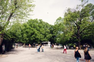 Visitors exploring Schönbrunn Zoo Vienna with families walking through historic zoological gardens.