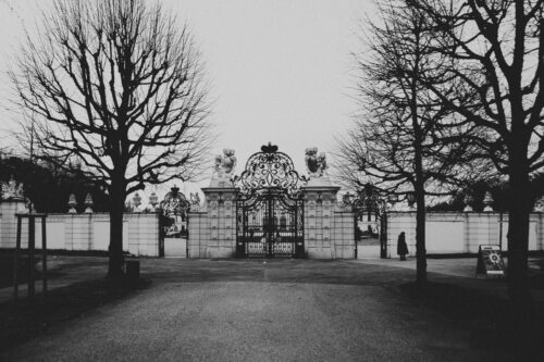 Winter morning at Upper Belvedere.