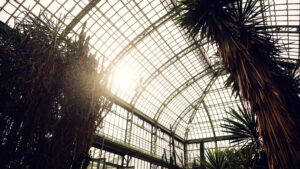 Sunlight streams through the glass panels of the Desert House Schönbrunn greenhouse.