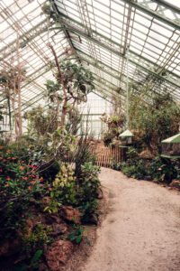 The Schönbrunn Desert House features a distinctive glass roof, allowing sunlight to flood the space and creating a warm, bright environment for the desert plants.