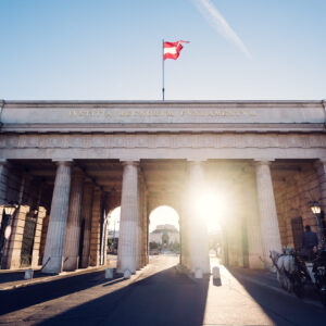 Portale storico della Heldenplatz, simbolo del patrimonio imperiale di Vienna.
