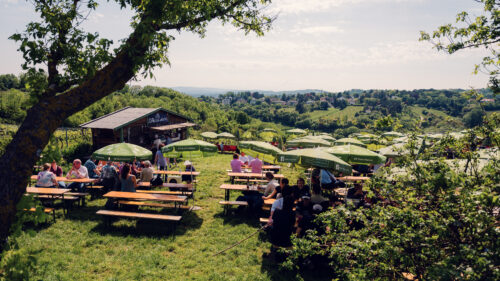 Mayer am Nussberg, a well-known winery in Vienna, with a picturesque outdoor seating area surrounded by vineyards, with beautiful views of Vienna's hills and greenery.