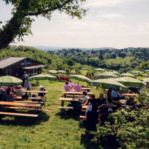 Mayer am Nussberg, a well-known winery in Vienna, with a picturesque outdoor seating area surrounded by vineyards, with beautiful views of Vienna's hills and greenery.