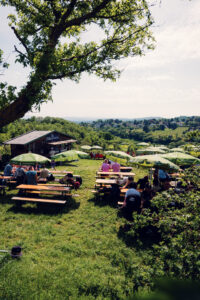 The view of the city and the vineyards can also be enjoyed from comfortable deck chairs.