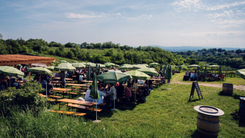 Mayer am Nussberg winery, featuring green umbrellas, rustic tables and lush vineyards in the background.