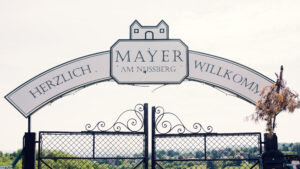 Mayer am Nussberg is a charming Viennese winery offering locally produced wines.