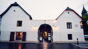 Historic architecture of Heuriger Mayer am Pfarrplatz, a charming blend of tradition and elegance in Vienna.