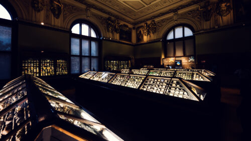Rare mineral display cases at Natural History Museum Vienna (Naturhistorisches Museum Wien), featuring exotic crystalline specimens and geological treasures on Maria-Theresien-Platz.