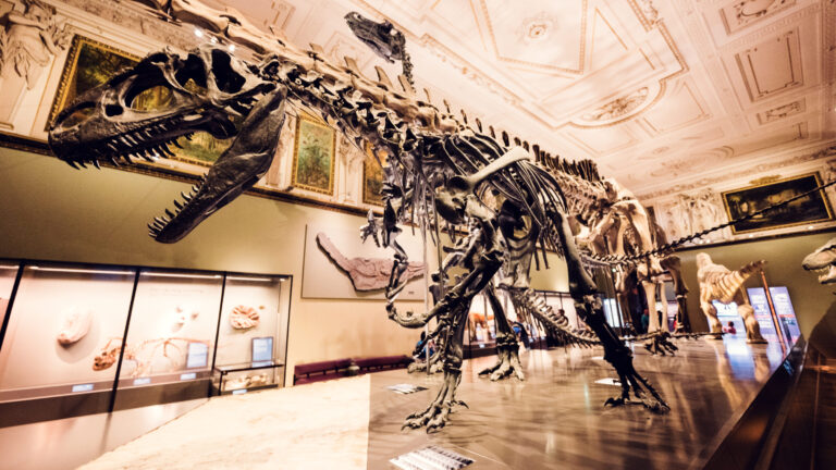 Natural History Museum