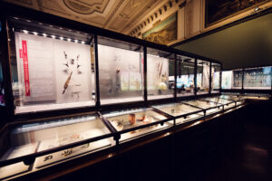 Collection of stone tools and prehistoric artifacts at Natural History Museum Vienna (Naturhistorisches Museum Wien).