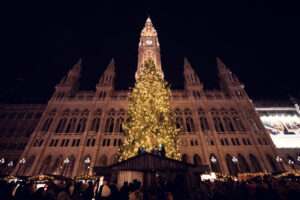 Christmas Market at Vienna's Rathaus featuring illuminated trees and festive decorations in Rathausplatz.