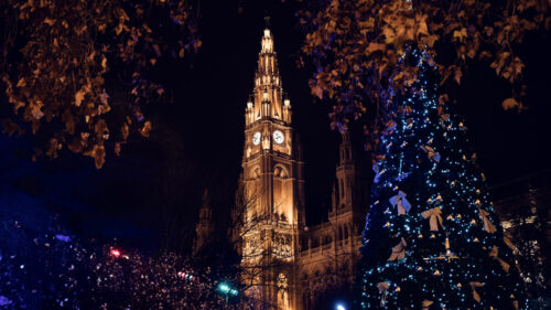 Rathaus Vienna illuminated at night, showing the detailed Gothic architecture and central tower.