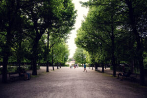 Schönbrunn Park promenade with visitors walking on wide gravel paths.