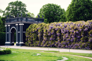 Schönbrunn Parterre formal baroque garden with geometric hedge patterns and gravel walkways.
