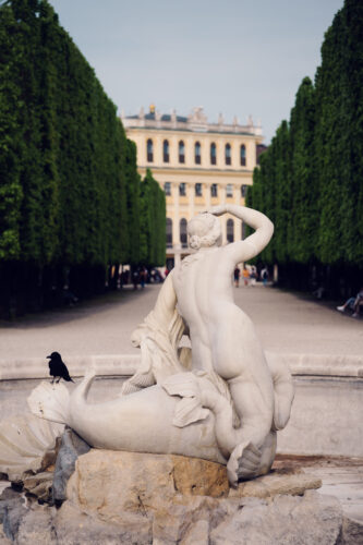 Decorative water fountain Schönbrunn gardens with carved stone details and surrounding flower beds in baroque palace grounds.