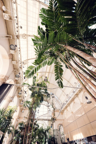 Elegant interior of Brasserie Palmenhaus, with lush greenery and a nice dining atmosphere.