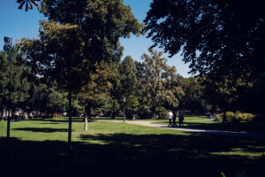 Romantic stroll through Burggarten, offering a charming escape in the heart of Vienna.