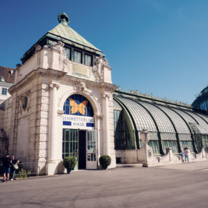 The Palmenhaus in Burggarten, filled with exotic plants and tropical ambiance.