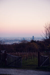 Expansive skyline view of Vienna from Am Himmel, capturing the city's majestic beauty and architectural landmarks.