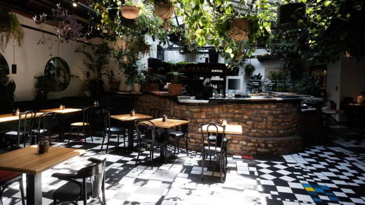 Inviting interior of Café Friedlich, where vintage charm meets contemporary comfort.