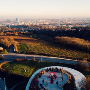 Panoramic view of Vienna from Cobenzl, showcasing the city's sprawling urban landscape.