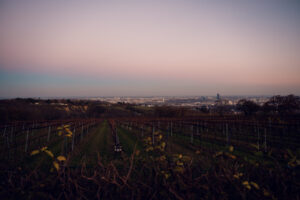 Majestic view of Vienna from Cobenzl, framed by the surrounding natural landscape.