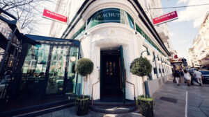 Street perspective of Plachutta Wollzeile.