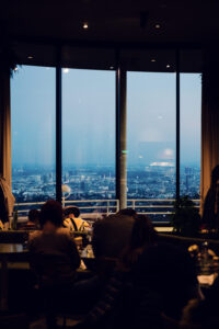 Breathtaking view of Vienna through Rondell Café's panoramic windows.