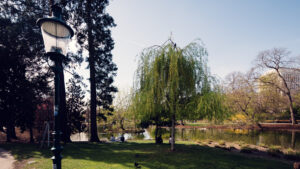 Netzwerk historischer Wege durch den Stadtpark, die verschiedene Denkmäler und Gartenanlagen verbinden.