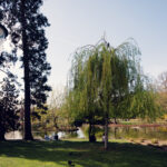 Network of historic pathways through Stadtpark, connecting various monuments and garden features.