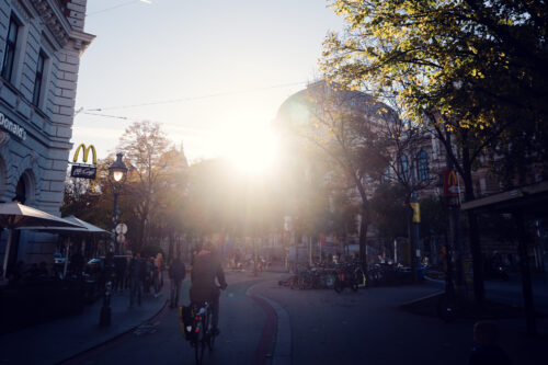 Imposing Ring facade of the University of Vienna during golden hour.