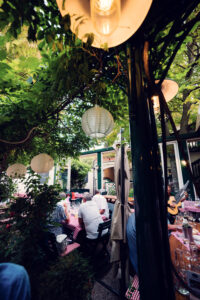 Summer evening at Martin Sepp's garden, where string lights create magical atmosphere between grape vines.