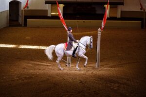 Spanish Riding School, Vienna, 2023, Copyright www.peterrigaud.com