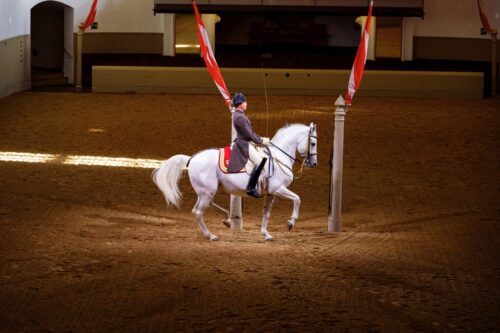 Spanish Riding School, Vienna, 2023, Copyright www.peterrigaud.com