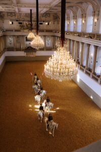 Spanische Hofreitschule, Wien, 2023, Copyright www.peterrigaud.com