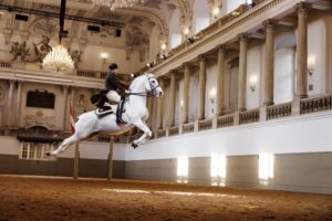 Spanish Riding School, Vienna, 2023, Copyright www.peterrigaud.com