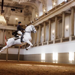 Scuola di equitazione spagnola di Vienna, 2023, Copyright www.peterrigaud.com.