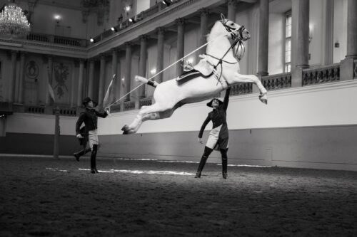 Spanish Riding School, Vienna, 2023, Copyright www.peterrigaud.com