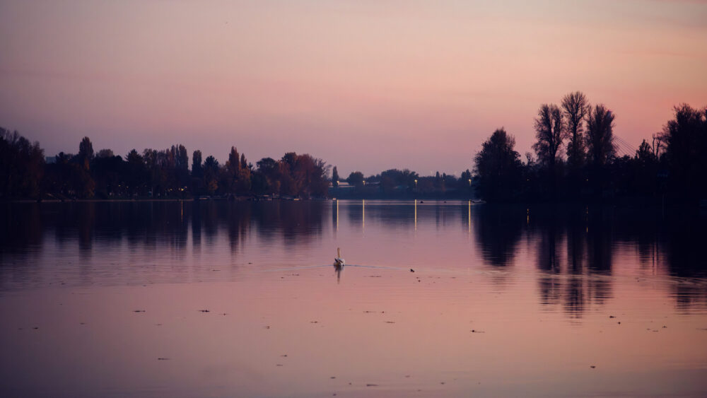 Sunset over Alte Donau river in Vienna with golden reflections on water surface.