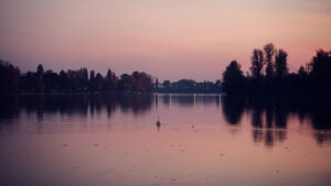 Sunset over Alte Donau river in Vienna with golden reflections on water surface.
