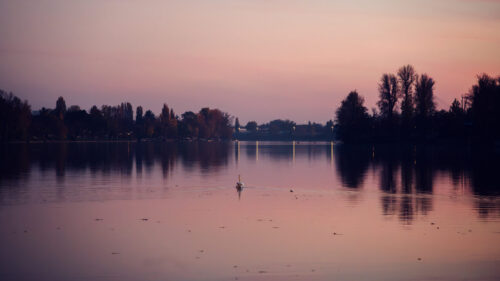 Sunset over Alte Donau river in Vienna with golden reflections on water surface.