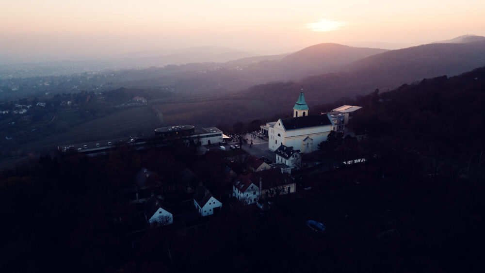Kahlenberg's terraced vineyards, where centuries of wine culture shape the hillside.